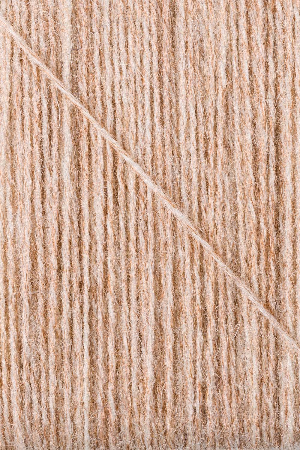 Regia 2-ply Hell-Kamel 17