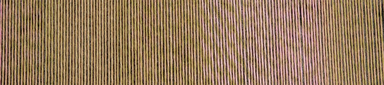 Schoppel Wolle Crazy Cotton Stärke 4 2731 La Ola