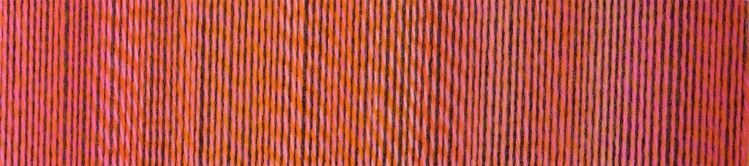 Schoppel Wolle Stärke 6 Brüder 2705 Gerhard