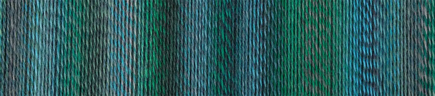 Schoppel Wolle Zauberball®Stärke 6 2542 Cool Botanical Garden