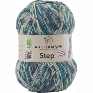 Austermann Step 4 Color 341 Bergen