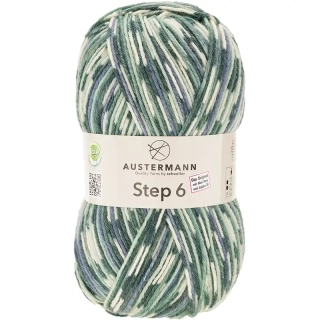 Austermann Step 6 Color 786 Asche