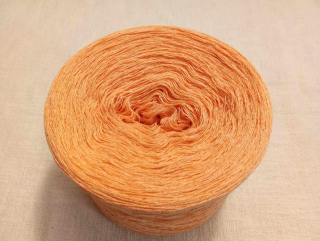 Spektrum Sushi 1000m