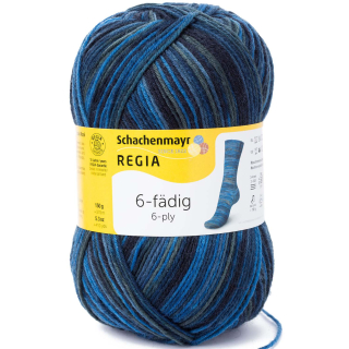Regia 6-ply Fantastico color 6079 Tinte