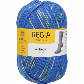 Regia 4-Ply Color 1281 happy ocean color