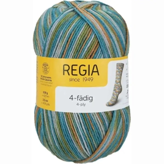 Regia 4-Ply Color 1294 hippie bus color