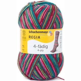 Regia 4-Ply Color 7707 schneeanzug color