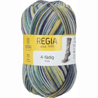 Regia 4-Ply Color 9406 lichterfest color