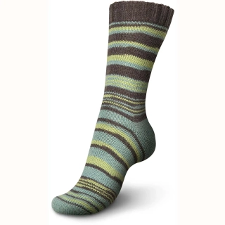 Regia 4-Ply Pairfect 2296 Brown-Beryl
