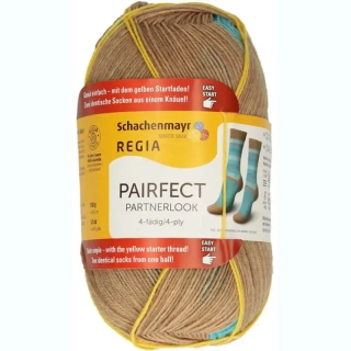 Regia 4-Ply Pairfect 7131 Erik color