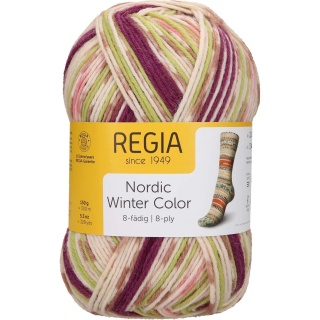 Regia 8-ply Nordic Winter Color 3045 Long walks color