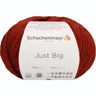 Schachenmayr Just Big 25 Ziegel