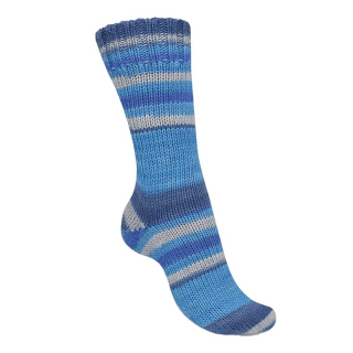 Regia 6-ply Talking Lines Color 5101 Navy Blue