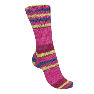 Regia 6-ply Talking Lines Color 5107 Chianti-pink