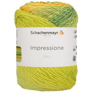 Schachenmayr Impressione 92