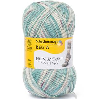 Regia 6-ply Norway color 2787 Voss color