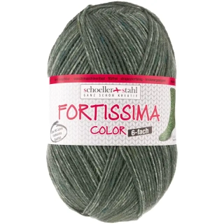 Schoeller Stahl Fortissima tweed 6-fach 0229