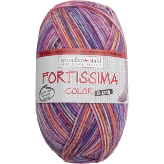 Schoeller Stahl Fortissima color 8-fach 0807