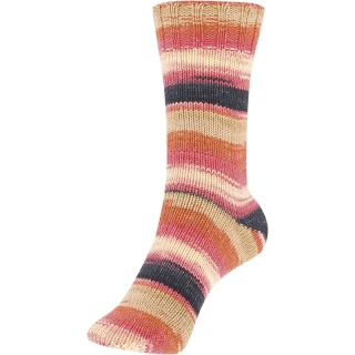 Schoeller Stahl Fortissima Cotton Hawaii 115