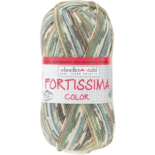Schoeller Stahl Fortissima 4-fach color 9048