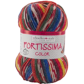 Schoeller Stahl Fortissima 4-fach color 9070