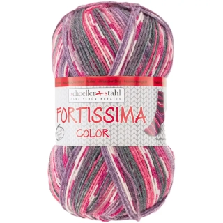 Schoeller Stahl Fortissima 4-fach color 9095
