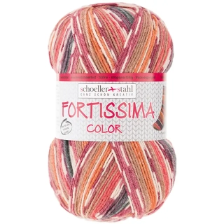 Schoeller Stahl Fortissima 4-fach color 9096