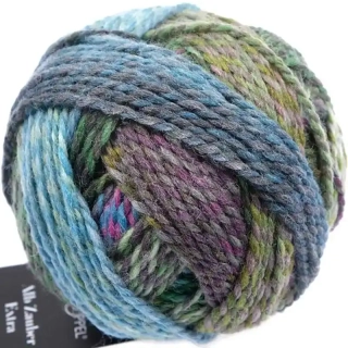 Schoppel Wolle Alb Zauber Extra 2529 Schleudergang 
