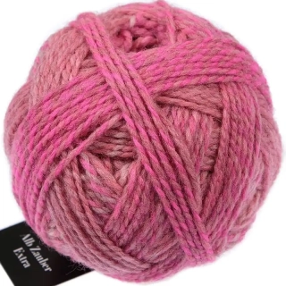 Schoppel Wolle Alb Zauber Extra 2724 Dionysos