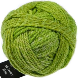 Schoppel Wolle Alb Zauber Extra 2726 Apollo