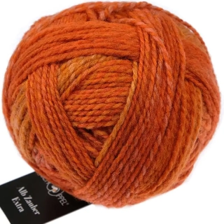 Schoppel Wolle Alb Zauber Extra 2727 Pluto