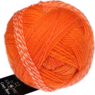 Schoppel Wolle Crazy Boys 2699 Helmut