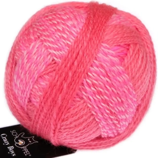 Schoppel Wolle Crazy Boys 2701 Willy