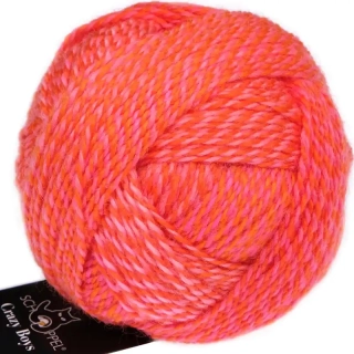 Schoppel Wolle Crazy Boys 2705 Gerhard