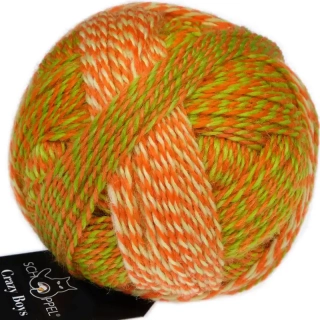 Schoppel Wolle Crazy Boys 2706 Olaf