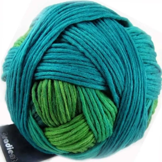 Schoppel Wolle Gradient 1878 In der Wiese