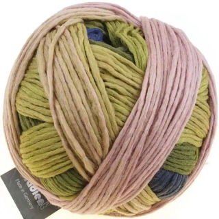 Schoppel Wolle Gradient 2336 Waldfrau