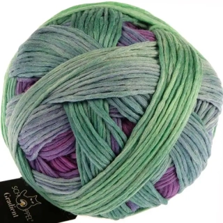 Schoppel Wolle Gradient 2437 Alles Paletti