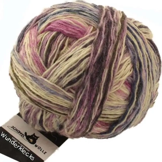 Schoppel Wolle Wunderklecks 2140 Kräuterhexe