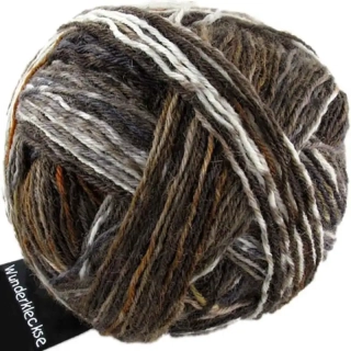 Schoppel Wolle Wunderklecks 2151 Vollmilch-Trauben - Nuss