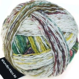 Schoppel Wolle Wunderklecks 2322 Wunsch Kleckse