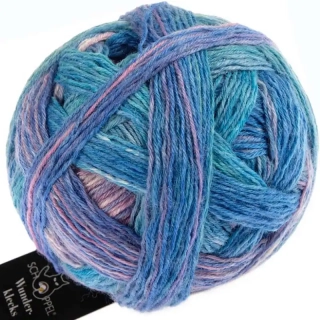 Schoppel Wolle Wunderklecks 2431 Fuji Lights