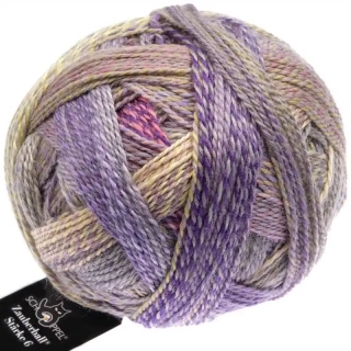 Schoppel Wolle Zauberball®Stärke 6 2514 Geheimrat