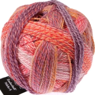 Schoppel Wolle Zauberball®Stärke 6 2546 Warm Botanical Garden