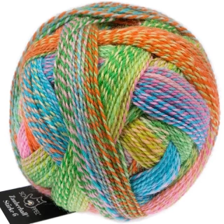 Schoppel Wolle Zauberball®Stärke 6 2728 Boygroup